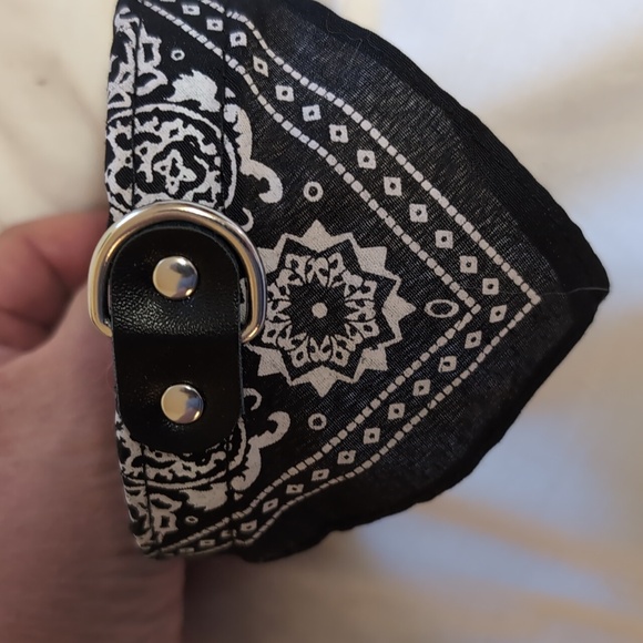 Medium black dog collar and bandana - Picture 3 of 3